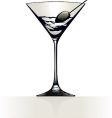 Martini vector image