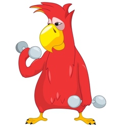 Funny Parrot Gym vector image