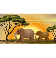 Elephant under a tree vector image