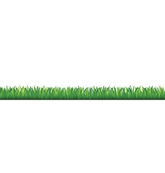 Grass vector image