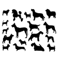 Dog breeds vector image