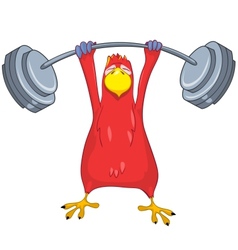 Funny Parrot Gym vector image