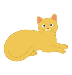 Charming cat vector image