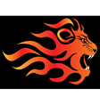 Flame Lion vector image