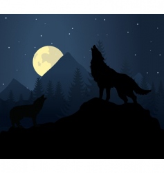 Night wolf vector image