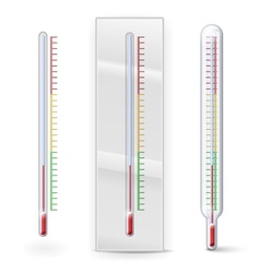 Thermometer vector image