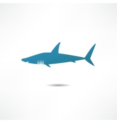 Shark vector image