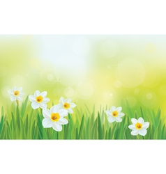 Spring vector image