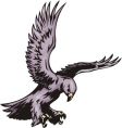 Predatory birds vector image