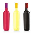 Wine bottles vector image