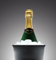 Champagne illustration vector image