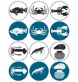 Seafood vector image