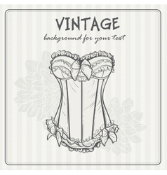 Vintage background with underwear Vintage background with underwear vector image