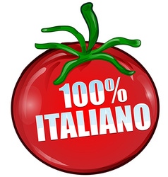 Italian tomato vector image