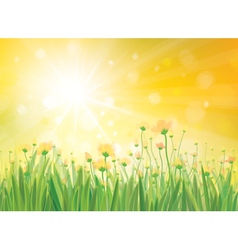 Spring flowers sky Royalty Free Vector Image - VectorStock