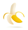 Peeled banana vector image