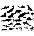 Sea animals vector image