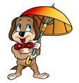 Dog with umbrella vector image