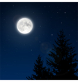 Full moon with lens flare vector image