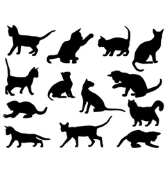 Silhouettes of cats vector image