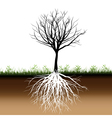 Tree roots silhouette vector image