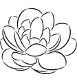 Flower vector image