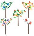 Birds vector image