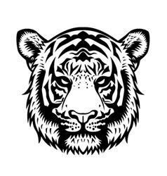 Tiger Head BW Tiger Head BW vector image