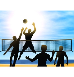 Summer volleyball vector image