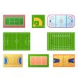 Sport fields vector image