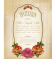 Vintage frame vector image