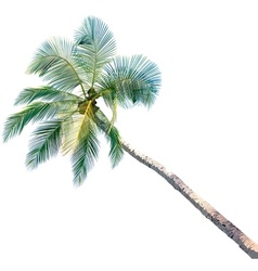 Palm tree vector image