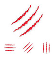 Claw Scratches Set vector image