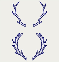 Deer horns vector image