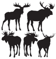 Elks silhouette vector image