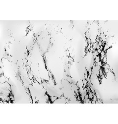Marble vector image