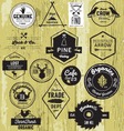 Vintage Hand drawn Labels Vintage Hand drawn Labels vector image