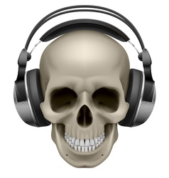 Human skull vector image