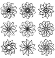 Flowers set vector image