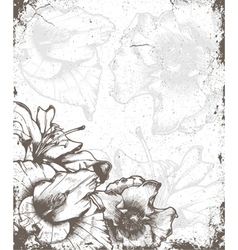 Vintage floral background vector image