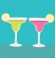 Tropical cocktails vector image