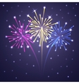 Fireworks colorful 1 vector image