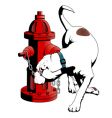 American bulldog vector image