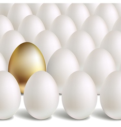 Gold Egg Concept vector image