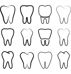 Set of the stabilized teeth on a white background vector image