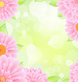 Gerber Background vector image