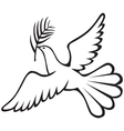 Dove with branch vector image
