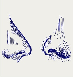 Nose vector image