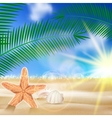 Summer beach background vector image