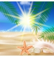 Creative graphic summer design vector image